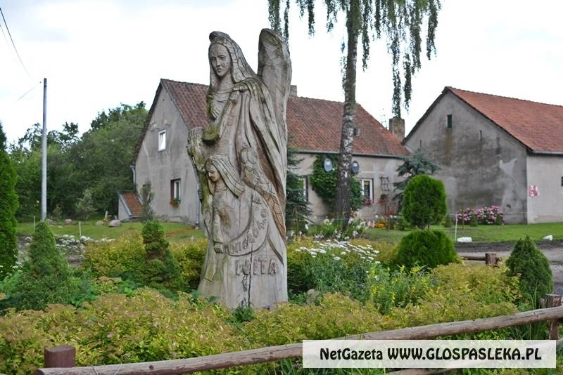  Piknik Organizacji Pozarządowych 