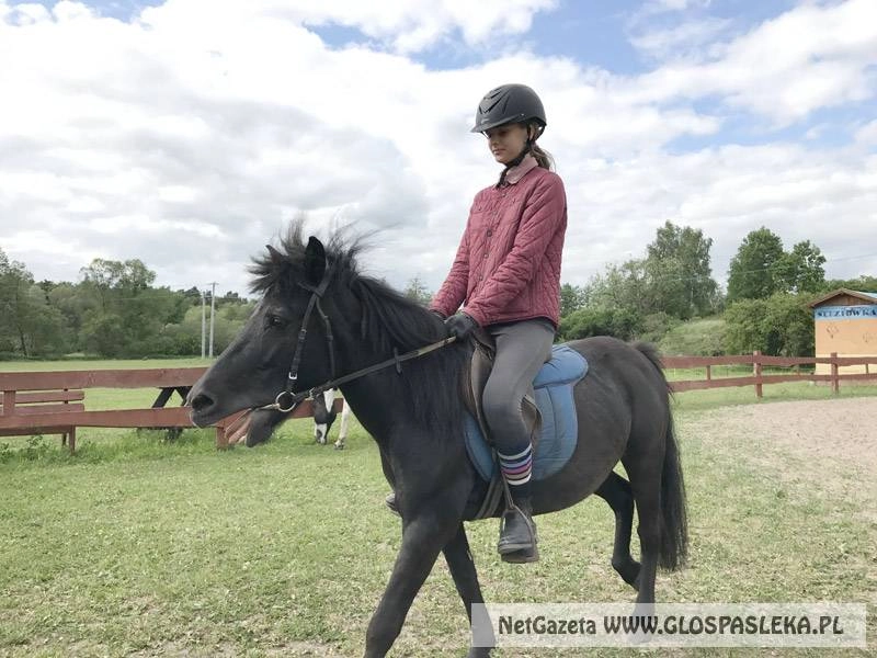 Przypominamy miłośnikom jazdy konnej