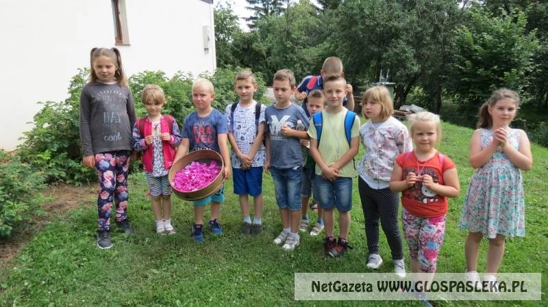 WARSZTATY W ZIOŁOWYM DZBANKU