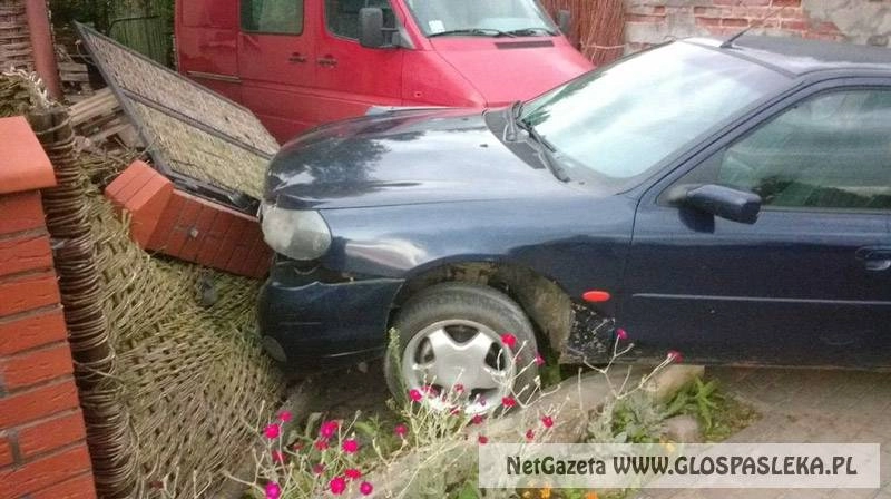 Zatrzymał się na płocie