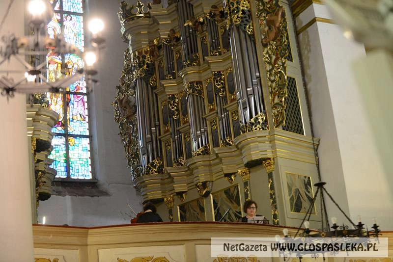 Noc z organami Hildebrandta 