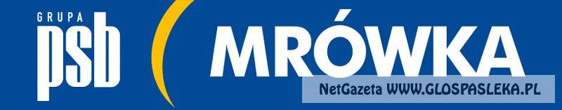 Mrówka w przyszłym roku