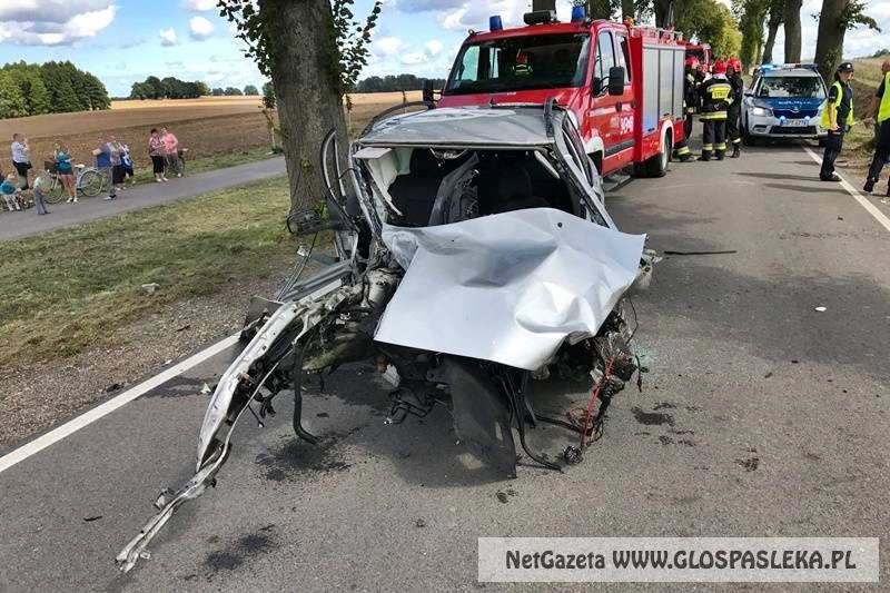 Brawurowa jazda z finałem na drzewie