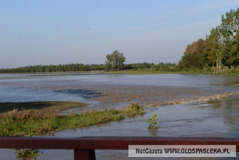 Wniosek o szacowanie szkód