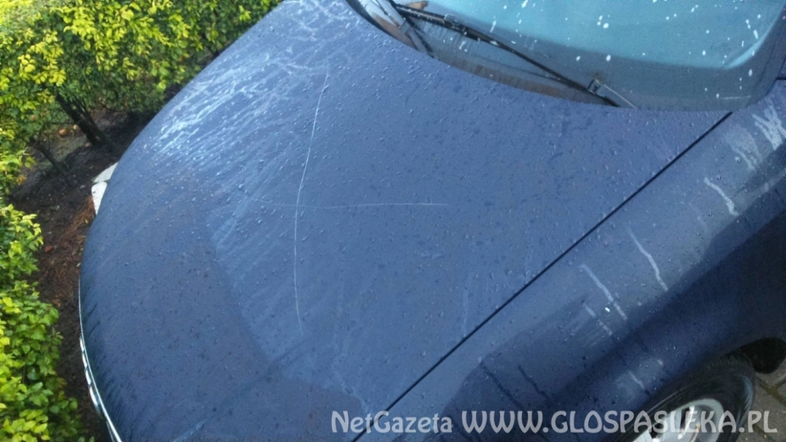 Uszkodził auto i ukradł tablice rejestracyjne - pomóż odnaleźć sprawcę