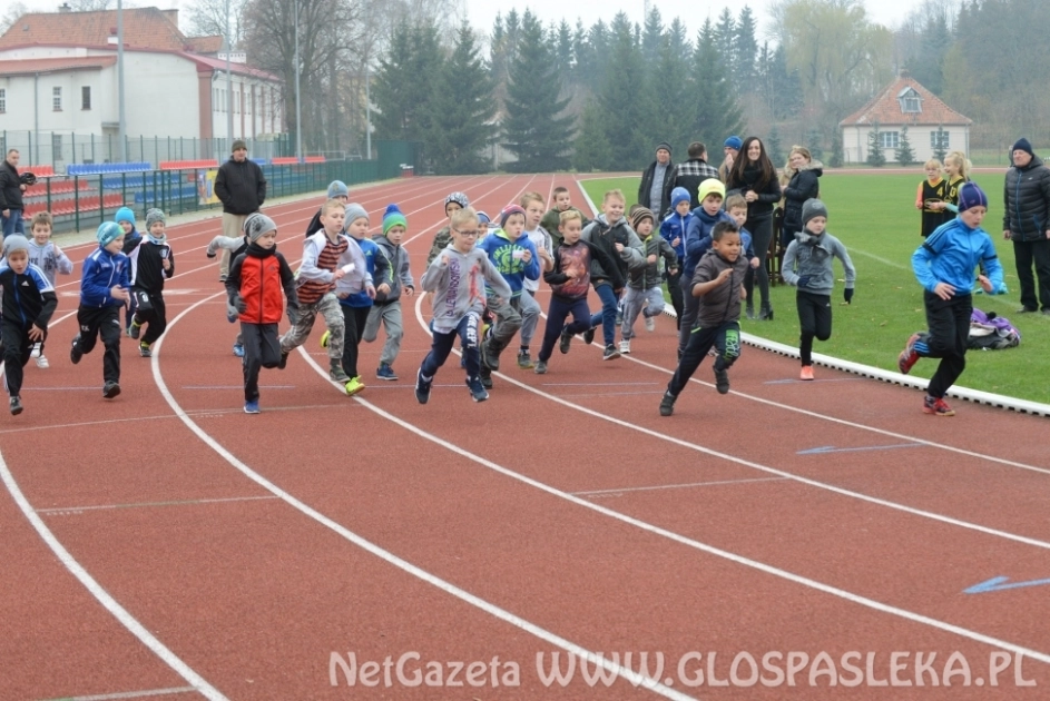 Bieg Niepodległości