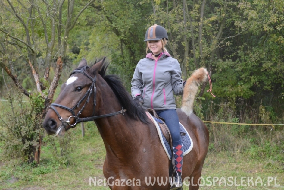 Przypominamy o Hubertusie