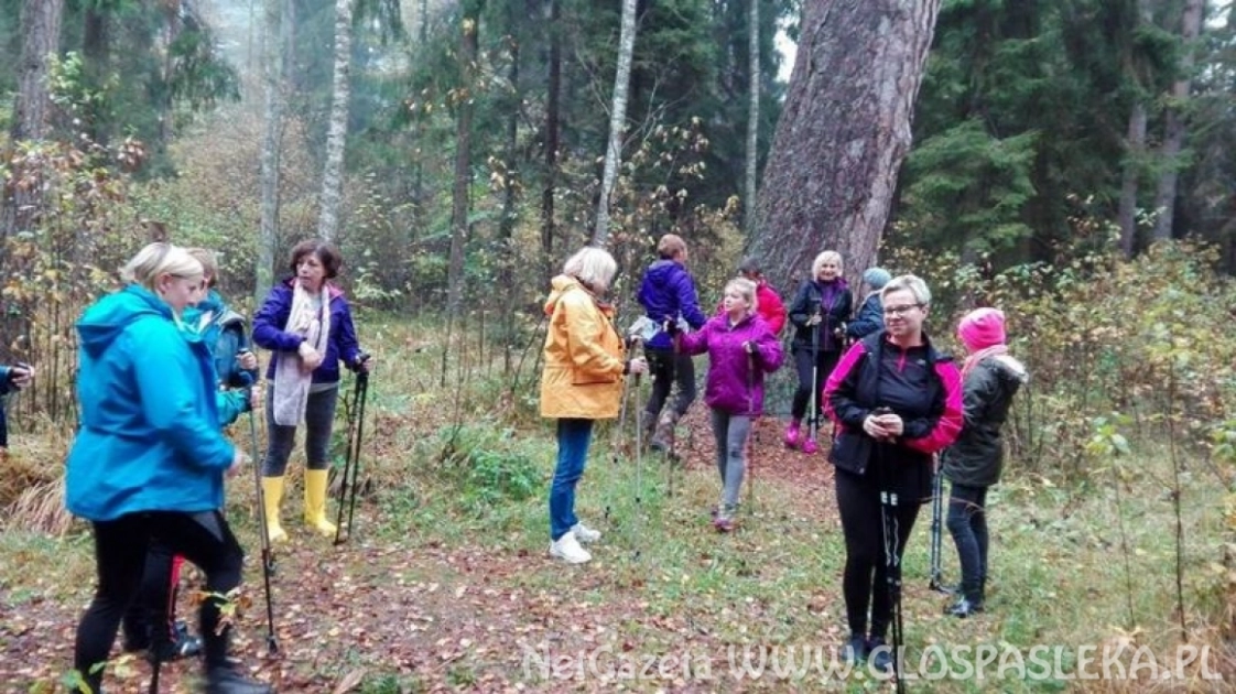 Spotkanie instruktażowe nordic walking