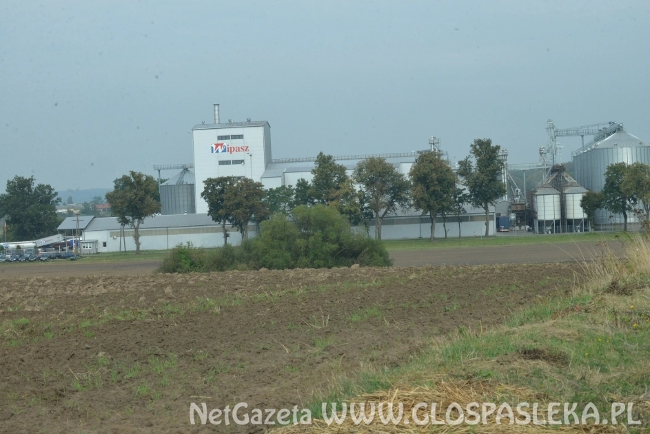 Konsultacje w sprawie kurników