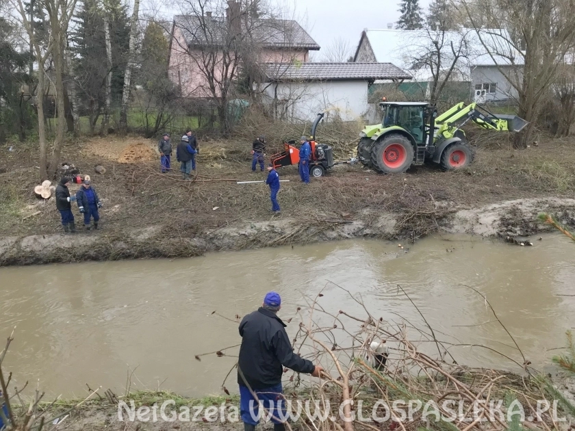 RZGW czyści koryto Wąskiej