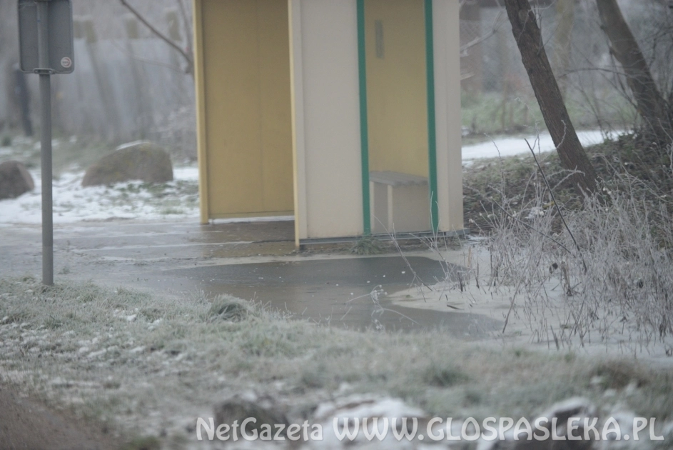 Prośba o interwencję