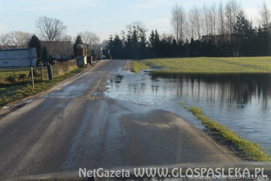 Melioranta zatrudnię