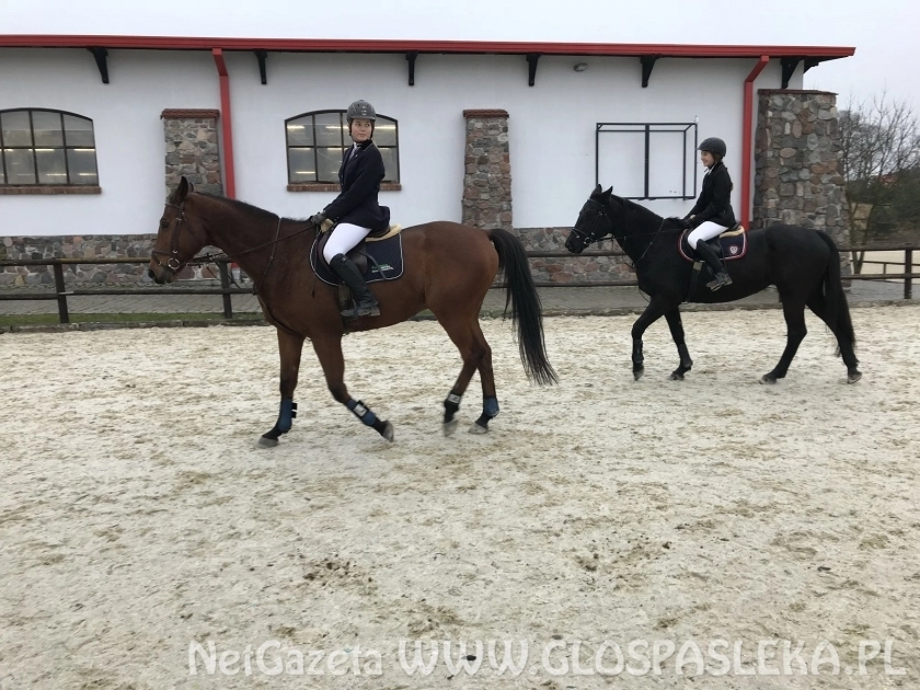 Jazdy konne w czasie ferii