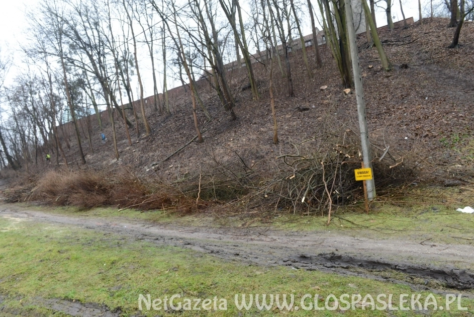 Porządkowanie wzgórza zamkowego