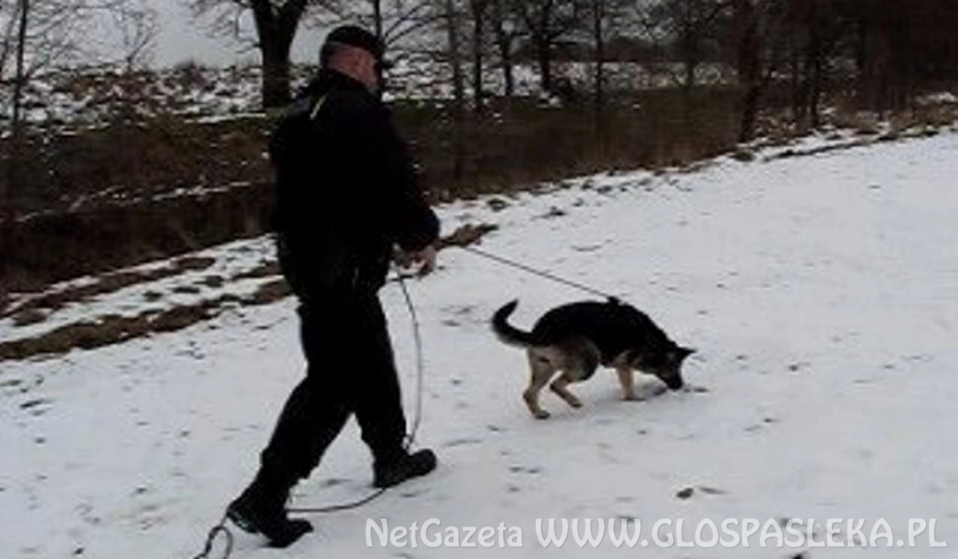 Włamali się do sklepu. W zatrzymaniu pomógł policyjny pies