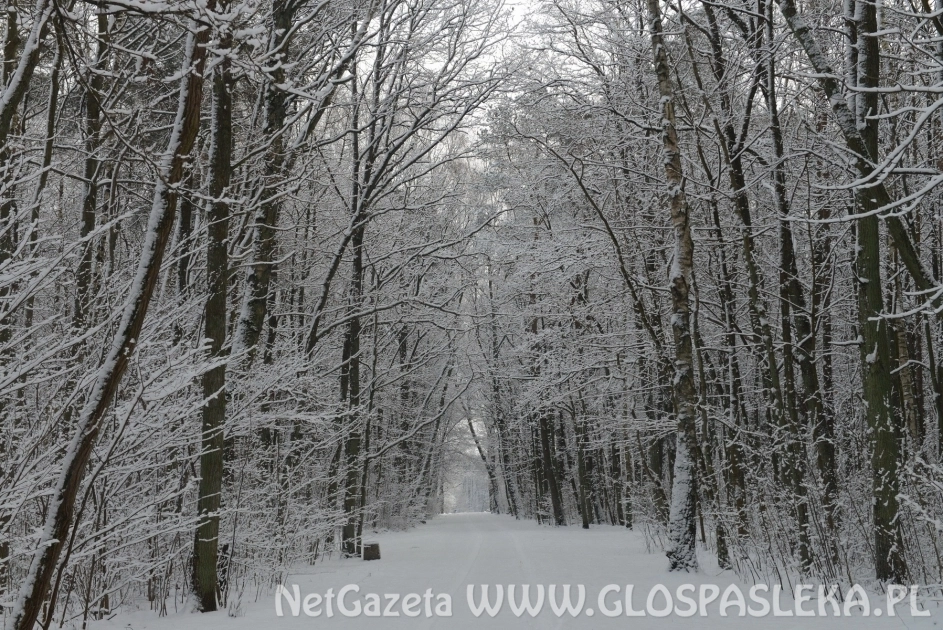 Uwaga na bezdomnych i osoby starsze