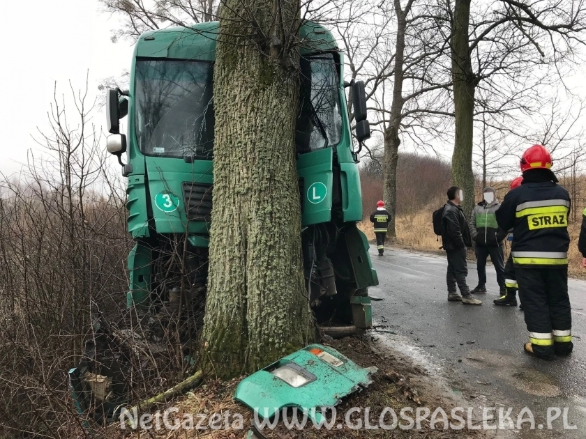 Ciężarówka na drzewie