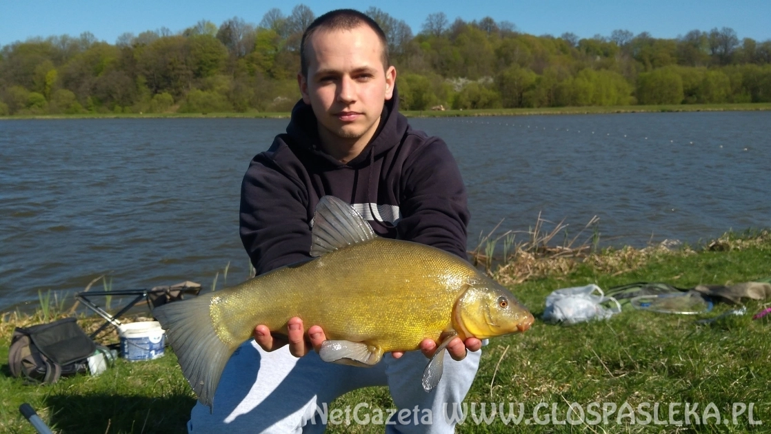 Medalowy lin z Zakrzewka II