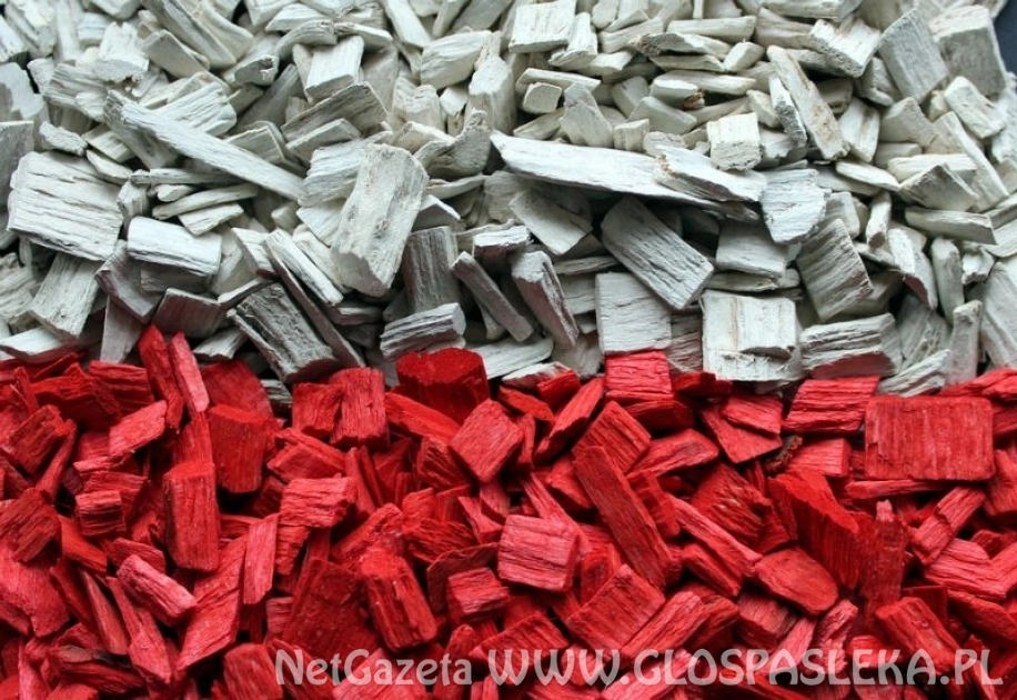 Jak uzyskać kartę pobytu czasowego? Praktyczne porady dla cudzoziemców