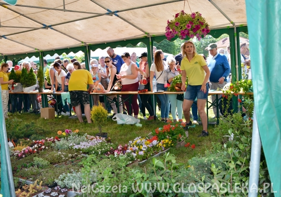 Segregujesz? Zyskujesz!