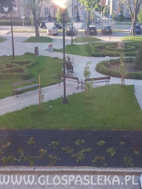 Plac Grunwaldzki – potrzebny monitoring