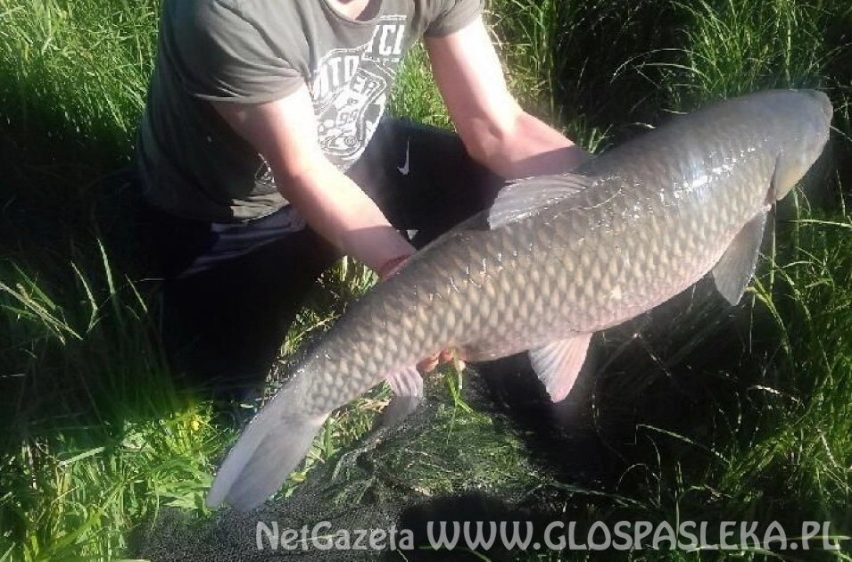 Czerwcowe Grand Prix Zakrzewka II