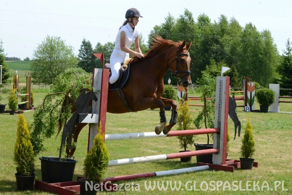 Pracowity weekend amazonek z Nenii