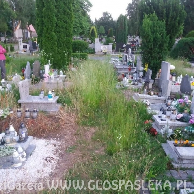 Interwencje – cmentarz