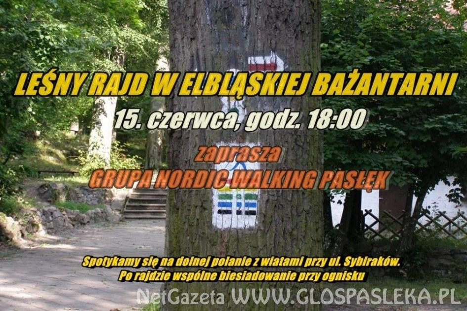 Zaproszenie na leśny rajd po elbląskiej Bażantarni