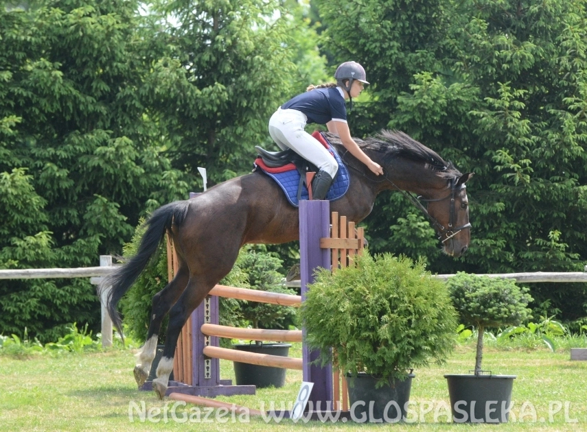 Zaproszenie na zawody jeździeckie