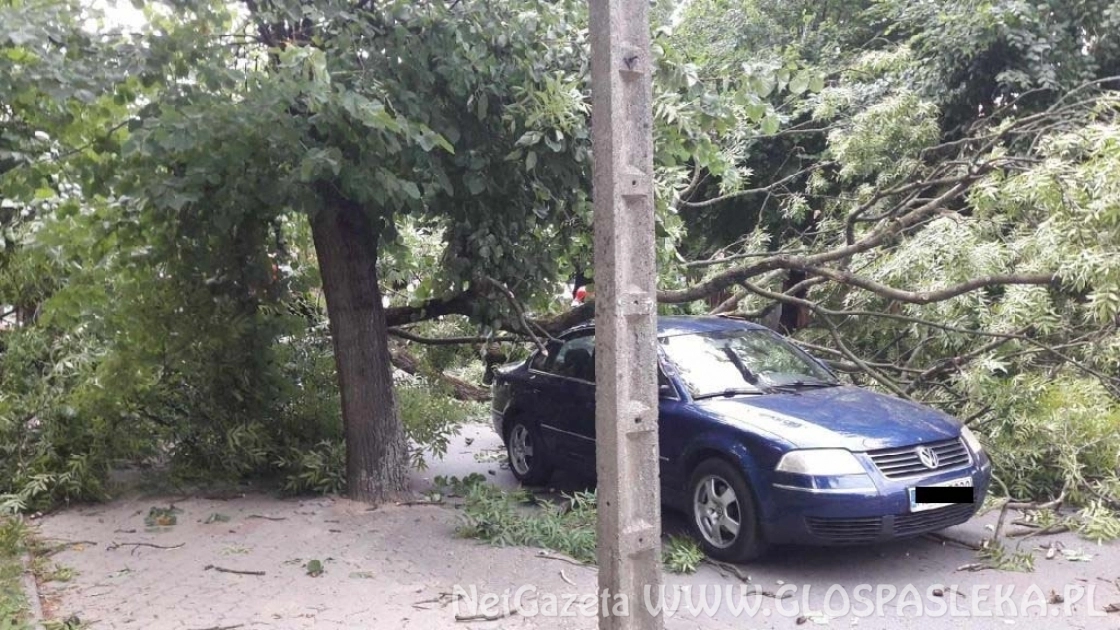 Powiało i połamało