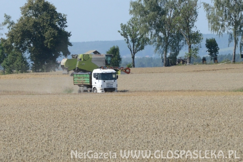 Zbierają wrak samolotu