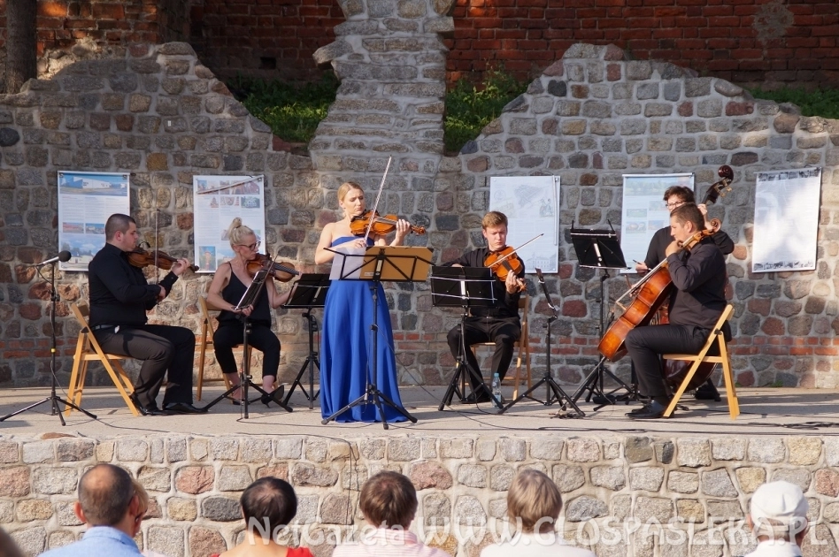 W świecie muzyki skrzypcowej