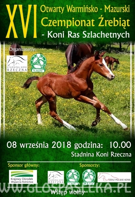 Czempionat źrebiąt