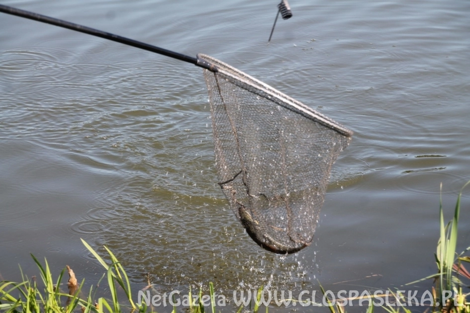 Wrześniowe Grand Prix