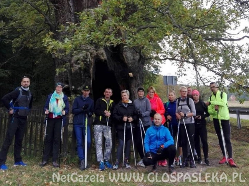 Pieszy rajd nad Zalewem Wiślanym