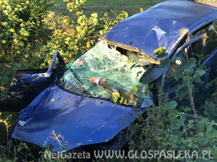 Wpadł do rowu i dachował