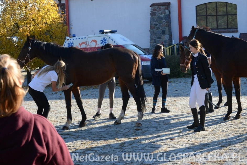 W Dąbrówce treningowo