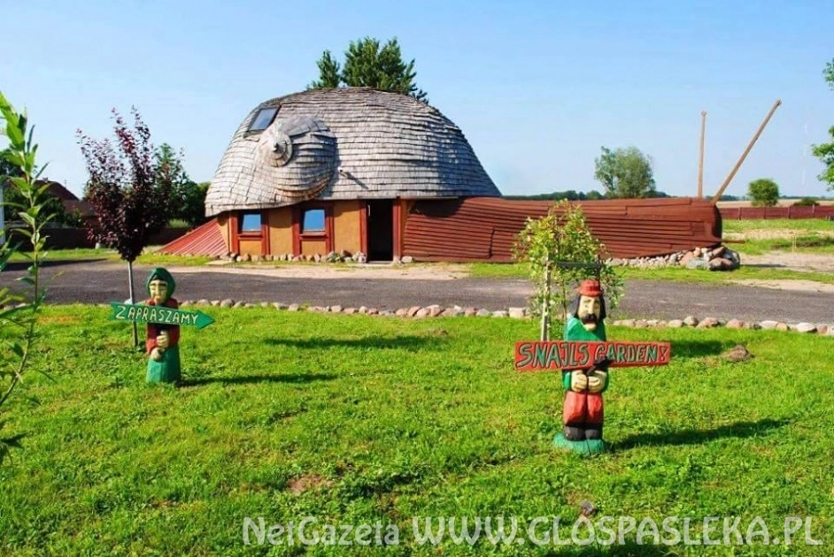 „ Ślimak, ślimak pokaż rogi…”