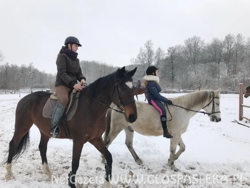 Ferie w Parku Ekologicznym