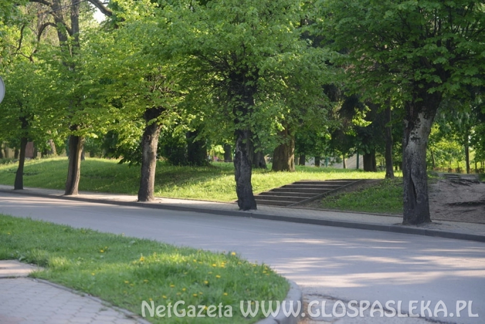 Przetarg na utrzymanie zieleni