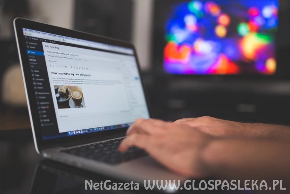 Audyt stron internetowych — sprawdź, jak działa twoja witryna www!