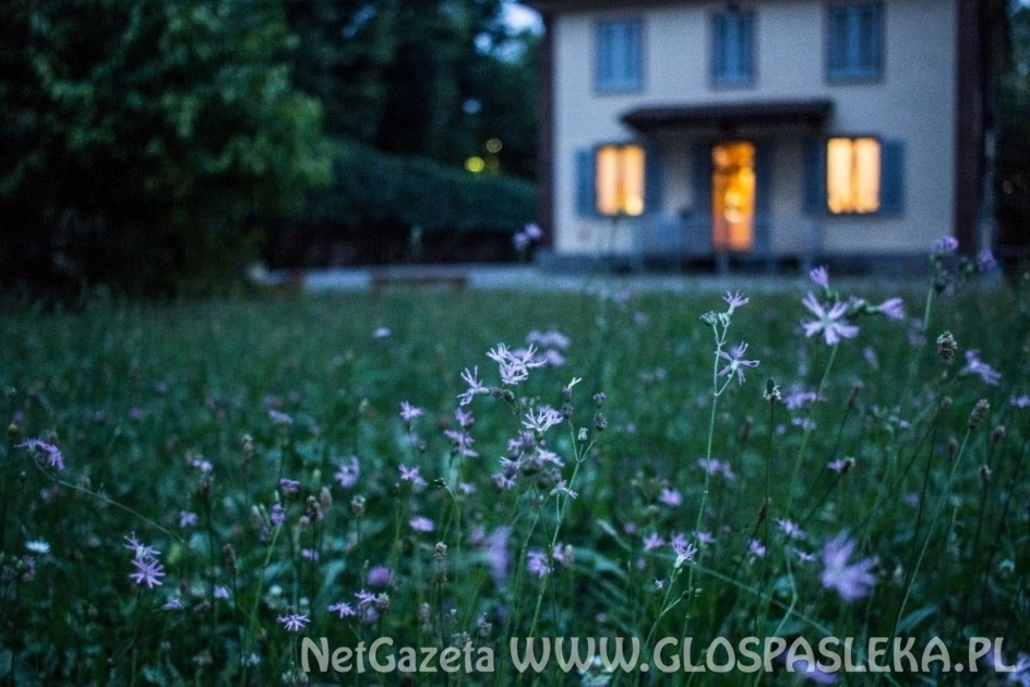 Jak zaprojektować ogród wokół domu?