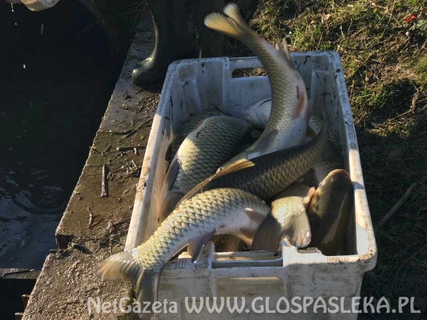 Zakrzewko II od 1 kwietnia