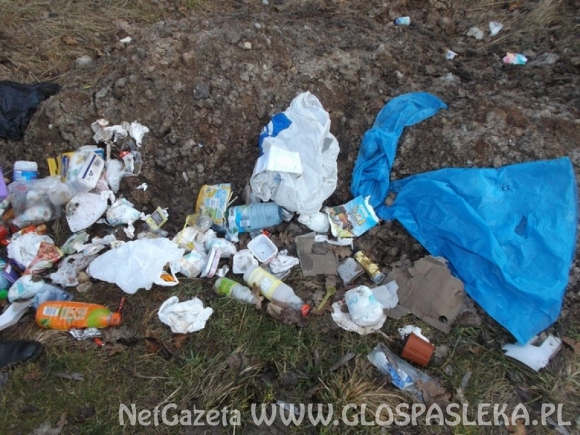 Ukarani za wyrzucenie śmieci do lasu