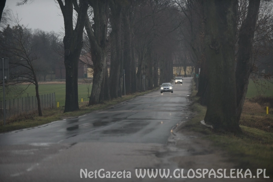 Zimy nie będzie – czas na remonty