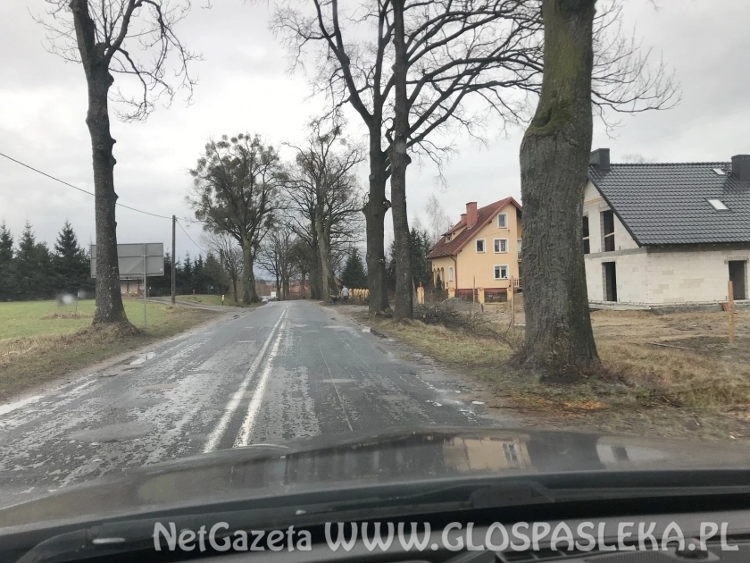 Wypadek przy podcinaniu drzew