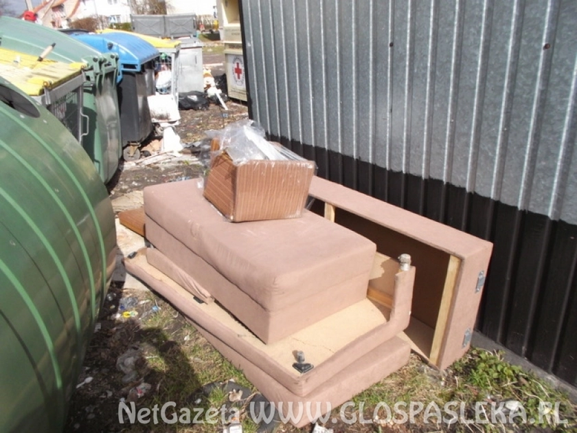 Mandat za zanieczyszczanie terenu miasta