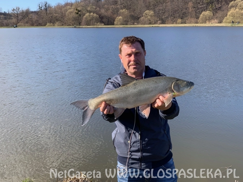Pierwsze ryby z Zakrzewka II