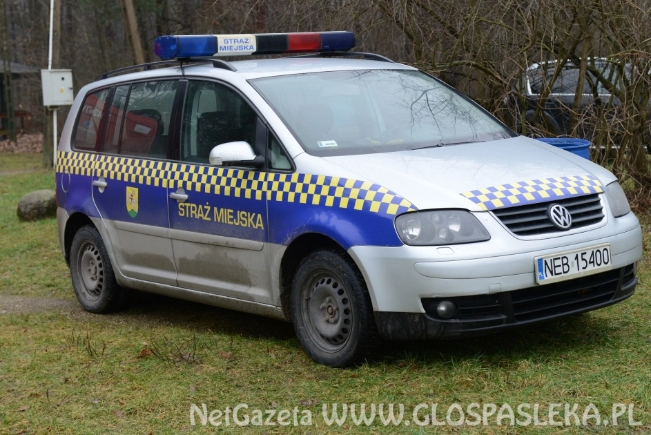 Straż Miejska kontroluje